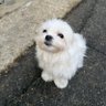 ๋
ธ์'s profile picture