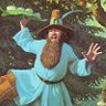 Profilbild von Tom Bombadil