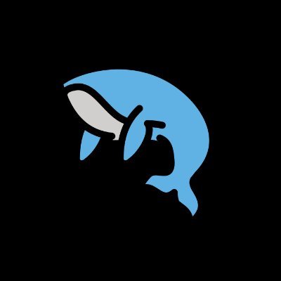 TEAM_NSWER's profile picture