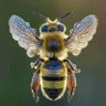 🌻JUST__L👀KING__IN🌻 profil fotoğrafı