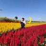 บอมบ์ บ้าๆ บอๆ's profile picture