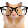 deim's profile picture