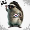 Profilbild von 김도치