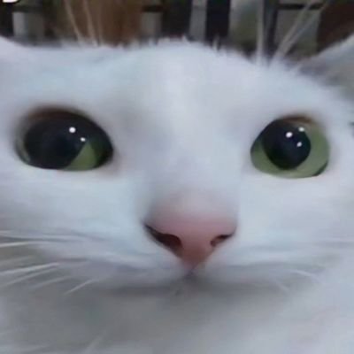 Ikay's profile picture