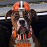 Z's profile picture