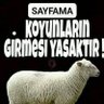 omerhan cengiz's profile picture