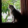 Paloma 🤍♥️'s profile picture