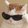 Profilbild von parin 𑣲𝄞