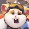 Kingo's profile picture