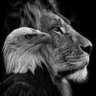 Lutz T.'s profile picture