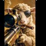 Profilbild von Lamb 🐑
