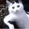 Profilbild von َ