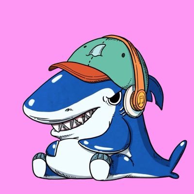 鲨十三🦈娱乐博主's profile picture