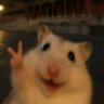 𝐒𝐱𝐧𝐟𝐮𝐥 𝐈𝐯𝐞's profile picture