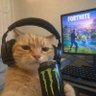Profilbild von Godsty Godstime
