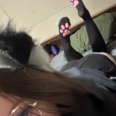 PrettyPupNova's profile picture
