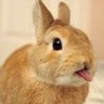 Фото профиля ∠あさやー