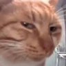 Neels's profile picture