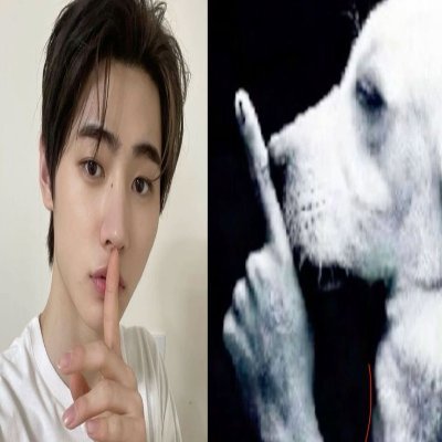 esotericgift's profile picture