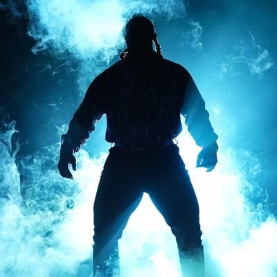 ring_rebel's profile picture