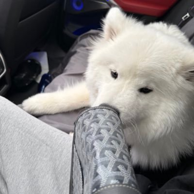 symstar's profile picture