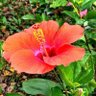 溫室細胞 profil fotoğrafı