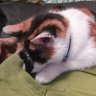 talyn profil fotoğrafı