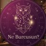 Фото профиля Burcun Ne?