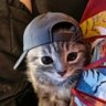 Profilbild von Zenny