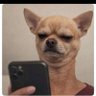 Adam juste avant la pomme profil fotoğrafı