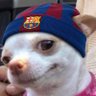 lolly's profile picture