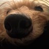 Profilbild von cam