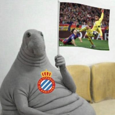 RCD Espanyol (Micha)'s profile picture
