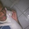 João Vitor's profile picture