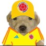 Profilbild von TheColombianLad 🇨🇴🇻🇦