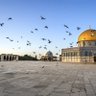 Фото профиля راكان المطيري