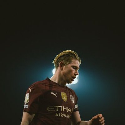 festus_debruyne's profile picture