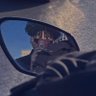 Profilbild von gray