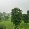 Фото профиля SHOUNAK BANERJEE
