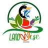 land wise profil fotoğrafı