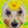 Profilbild von OXinONE