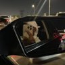 عـبـيـد 的头像