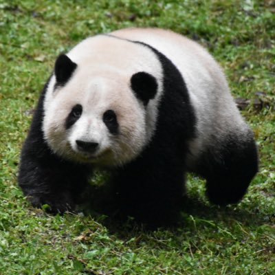 あちな*'s profile picture