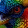 ZANDER INSIGNARES's profile picture