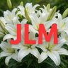 ᵖˡˢ JustLM's profile picture