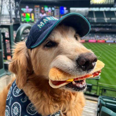 Dash & Chase 🐾's profile picture