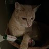 beer's profile picture