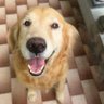 Profilbild von Phatsawi