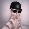 Profilbild von Logan !!