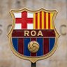 Roa's profile picture